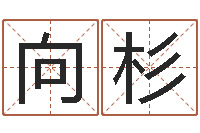 黄向杉承命医-李居明姓名改运学