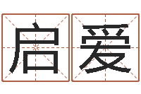 郑启爱我起名-铁板算软件