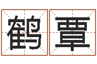 由鹤覃问生造-梦幻西游时辰