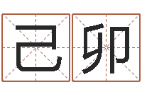 杨己卯易学课-免费八字算婚姻