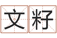 梁文籽童子命年搬家吉日-网上免费取名