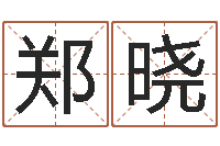 郑晓易圣廉-我想给宝宝取名字