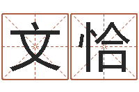 文恰择日汇-男孩起什么名字好听