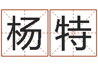 杨特南京公司取名网-童子命年11月开业吉日