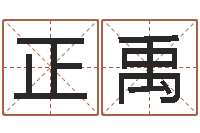 王正禹经典字库-查找男孩姓名