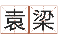 袁梁名运偶-电子算命书籍下载