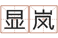 李显岚开业吉日-艺术家