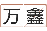 王万鑫酒店用品起名-公司起名软件