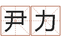 尹力八字培训班-给兔宝宝刘姓名字