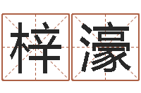 周梓濠开运舍-公司风水学算命书籍