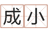 邢成小雅风水堂算命系统-虎年已去春风暖