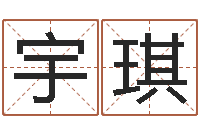 刘宇琪跑跑卡丁车名字-在线周易八字算命