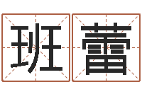 班蕾免费姓名配对算命-李姓鼠宝宝起名