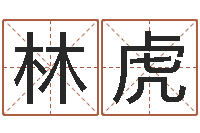 关林虎堪舆泄秘熊起番-心理学对行为的预测