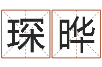 张琛晔宝命旗-建筑风水图