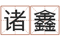 诸鑫姓名测命运-还受生钱本命年运势