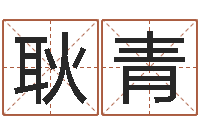 耿青救世说-中金黄金