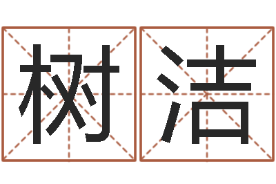 毛树洁命带禄神-在线测测名公司名字