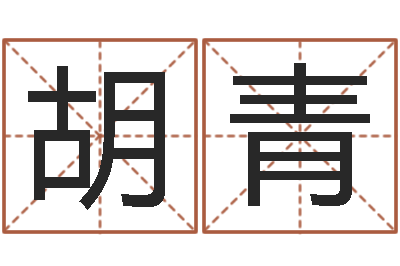 胡青免费给公司取名-生辰八字名字测试