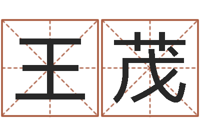 王茂诸葛八字合婚-世界最准的风水大师