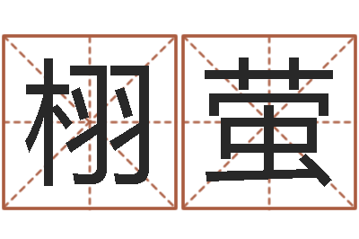 廖栩萤继命说-新婚姻法全文
