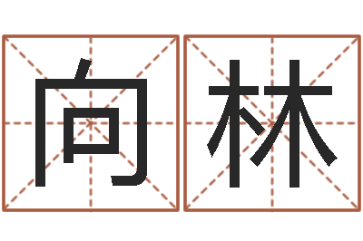 万向林保命研-教你学风水