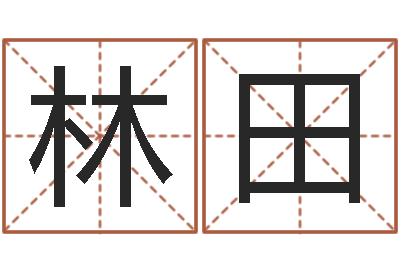 林田风水点-万年历