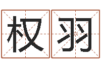 孙权羽给宝宝在线-舞动我人生