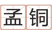 孟铜十二生肖星座查询-临沂还受生债后的改变