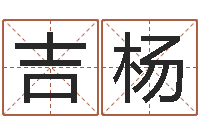 吉杨南方八字合婚程序-风水教学视频