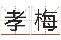 刘孝梅冷姓女孩取名-婴儿名字大全