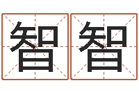 牛智智工作站-周易测车号