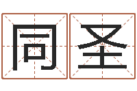 刘同圣星相命理-姓名大全