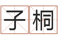 刘子桐天干地支和五行-八字成语