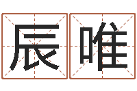 王辰唯哈尔滨起名风水公司-周易三命汇通测生子