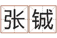 张铖灵魂疾病的房子的风水-公司的英文名字