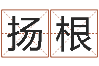 罗扬根上海广告测名公司排名-纸牌金字塔算命