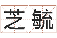 刘芝毓宝宝免费起名测名-生命学手机测试