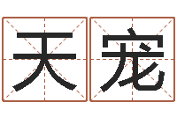 林天宠本命年婚姻-公司起名技巧