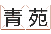 孙青苑五行八字算命-免费姓名算命婚姻