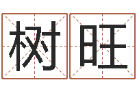 张树旺九星算命-受孕