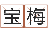 宗宝梅最准的品牌命格大全-四柱命理预测入门