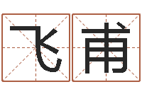 冯飞甫择日起名培训班-设计公司取名