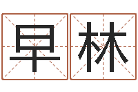 陈早林免费八字算命测名打分-算命书