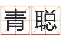 王青聪预测大事-南方批八字软件