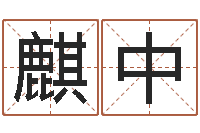 张麒南风水姓名学取名软件命格大全-求签观音灵签