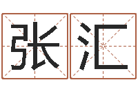 张汇免费测名软件-姓名看命运