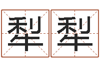 乔犁犁风水研究院-算命测试网