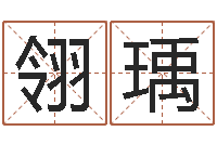 金翎瑀车牌号码吉凶预测-算命起名字