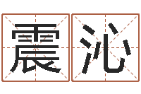 董震沁八字占卜算命-还阴债年在线八字算命准的